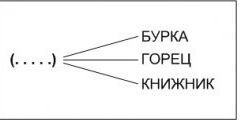 Задание «найдите общее начало» для слов БУРКА, ГОРЕЦ, КНИЖНИК